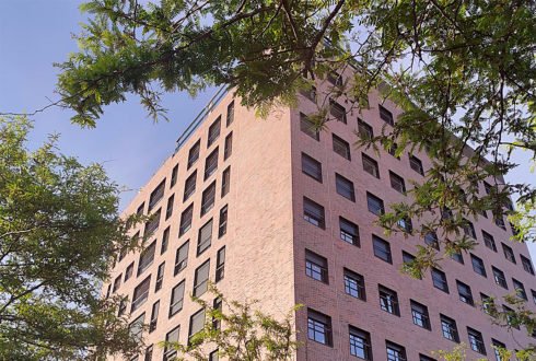 domus placa suelos construccion 28 490x330